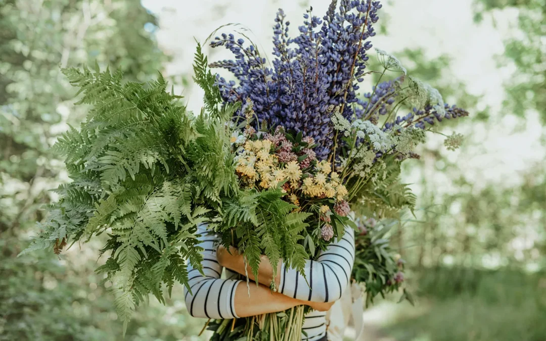 Appreciation for the important work you do