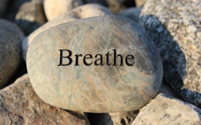 3 Breath Reset: A Simple Tool to Help You Reboot Throughout Your Day.
