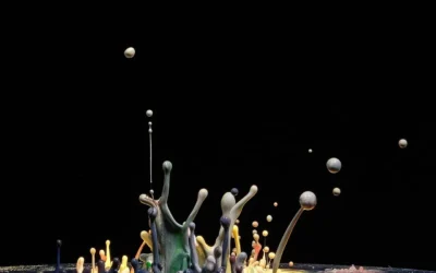 When Therapy Feels Like Watching Paint Dry