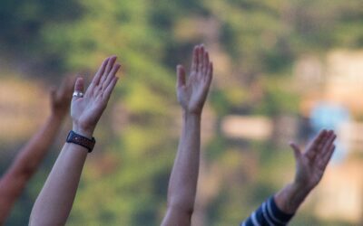 My Go To Movement Sequence for Regulation