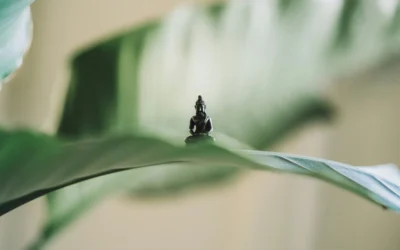 Presence or Proficiency